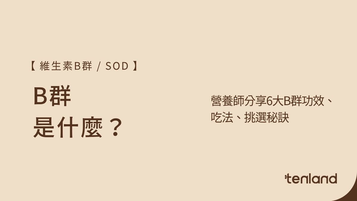 b群是什麼