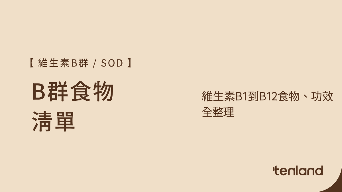 b群食物
