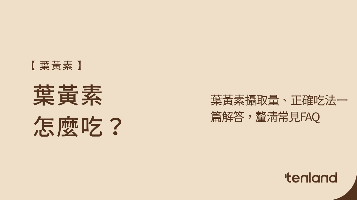 葉黃素怎麼吃