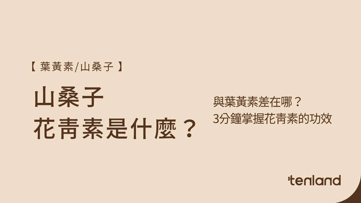 山桑子花青素是什麼