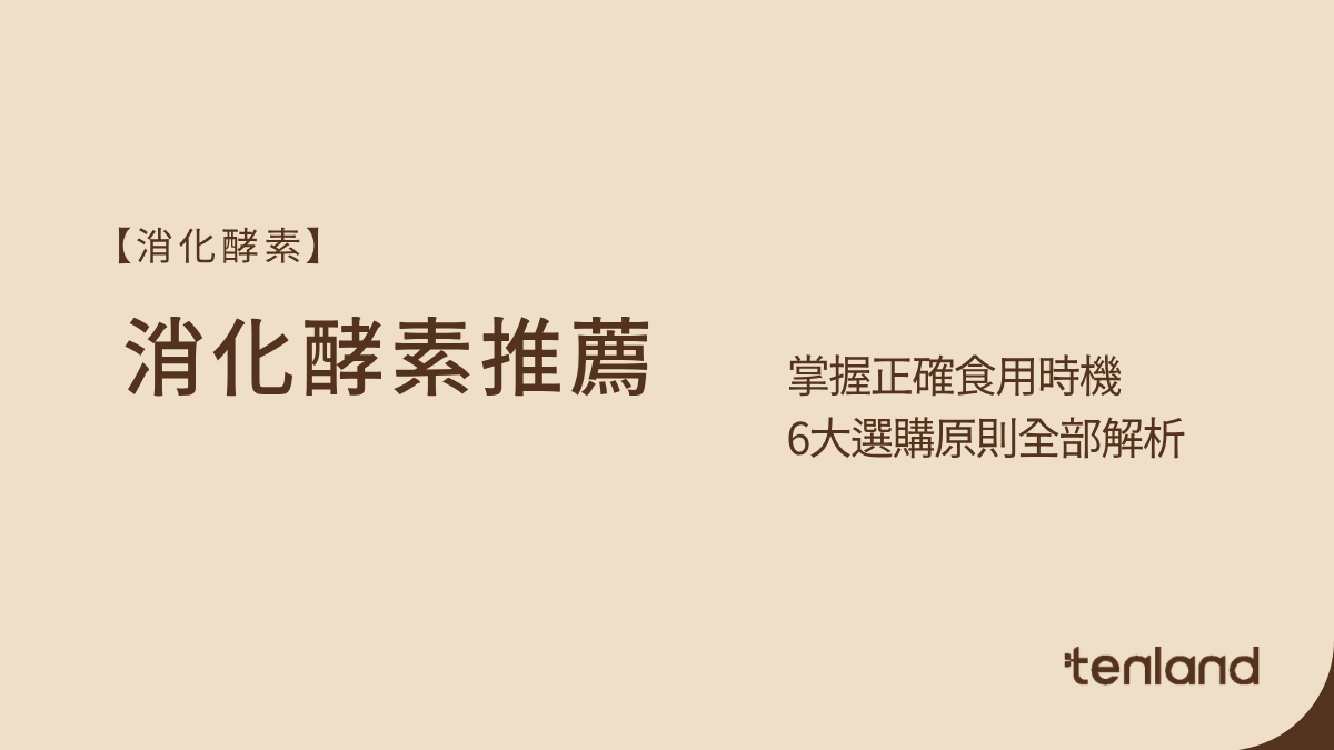 消化酵素推薦