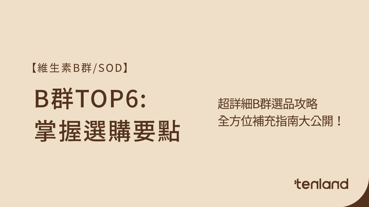 B群推薦Top6：3分鐘掌握選購要點