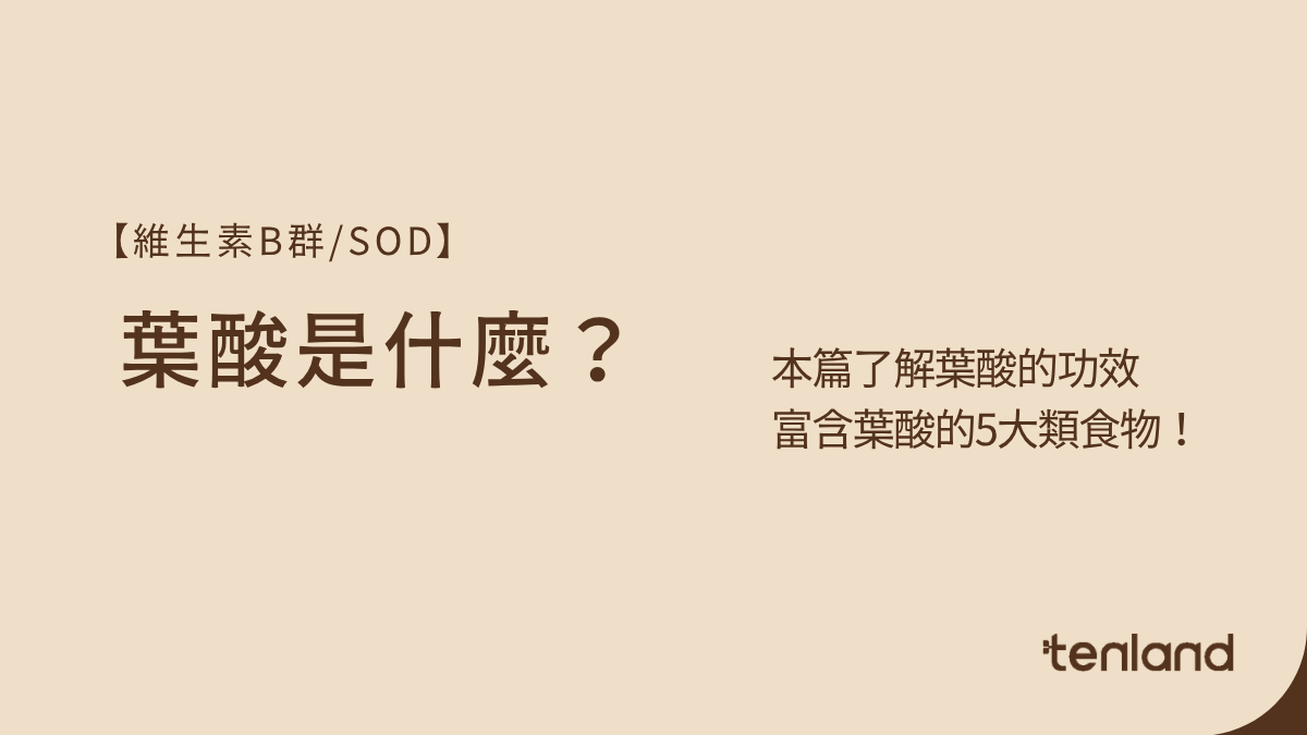 了解葉酸功效及富含葉酸的5大類食物