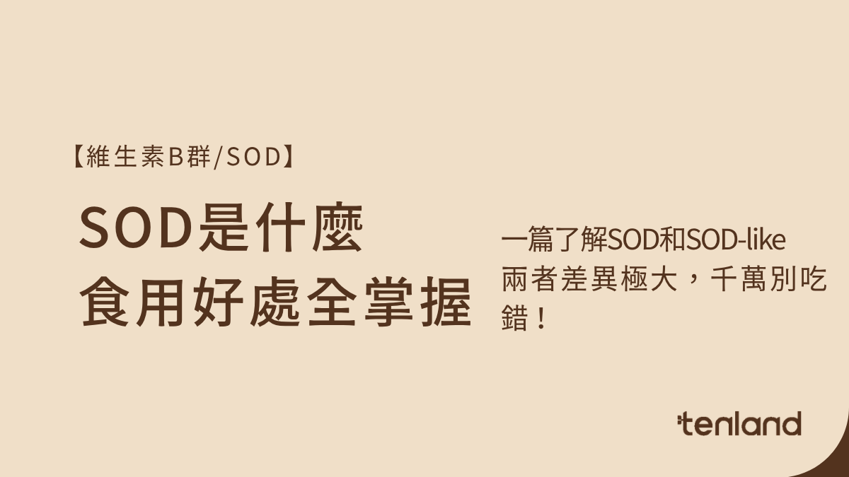 SOD是什麼？