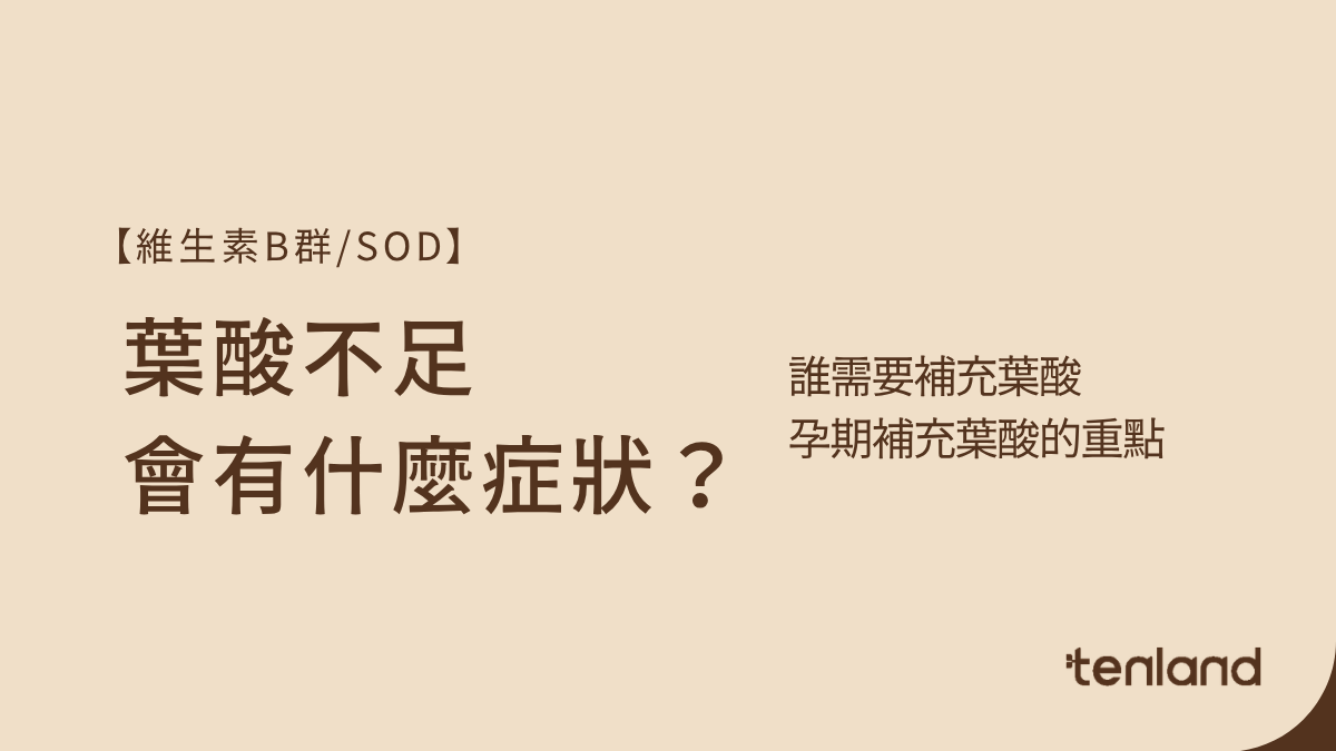 葉酸對健康的幫助是什麼呢