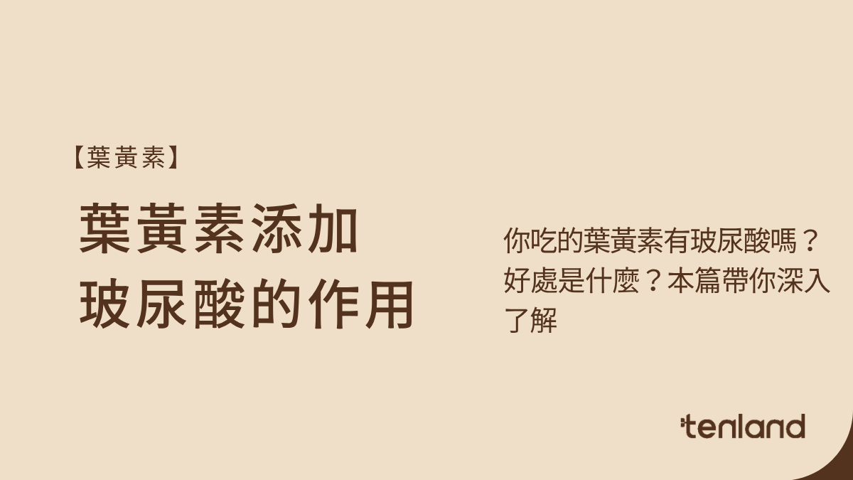 葉黃素添加玻尿酸的作用？