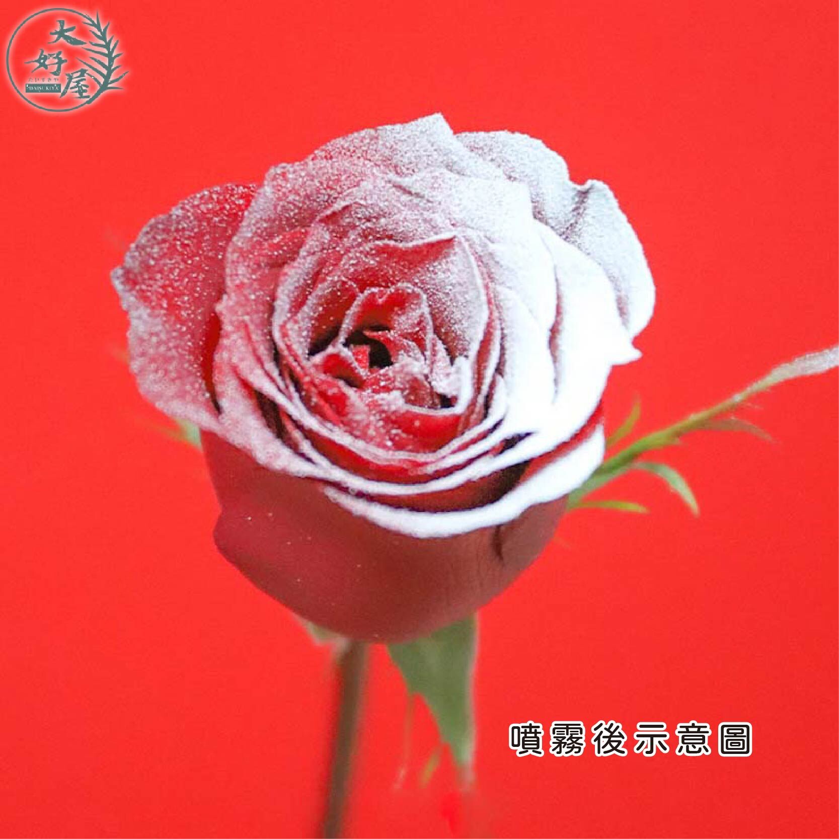 聖誕雪花噴霧