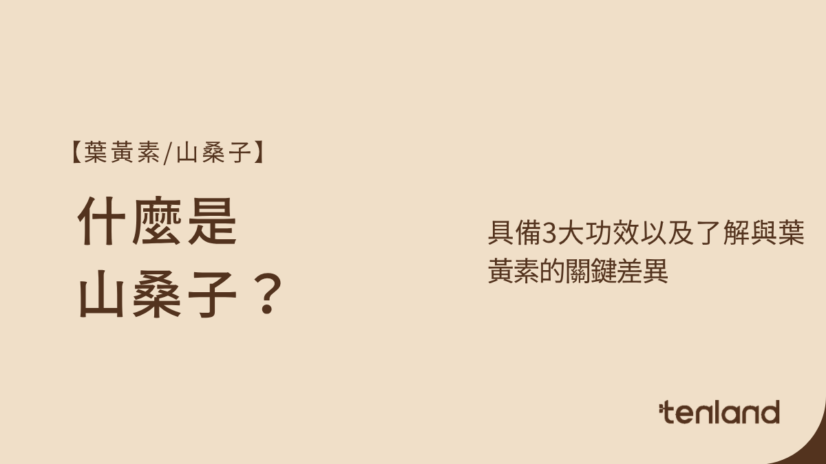 山桑子功效