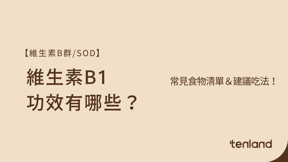 B1功效
