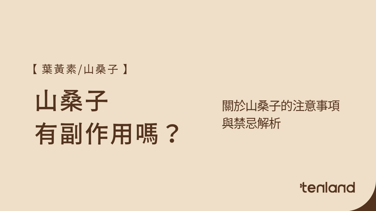 山桑子副作用