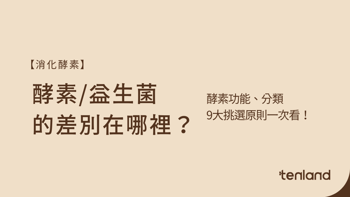 酵素跟益生菌的差別在哪