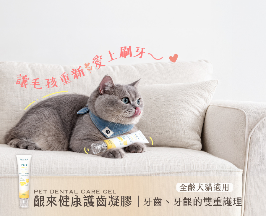 歸毛家族齦來健康護齒凝膠，專為犬貓設計。雙重護理牙齒牙齦，特殊質地讓毛孩愛上刷牙，維持口腔健康。