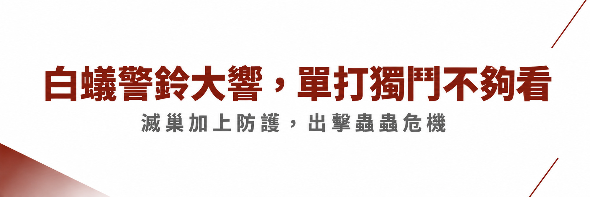 福來朗螞蟻對策專區 1
