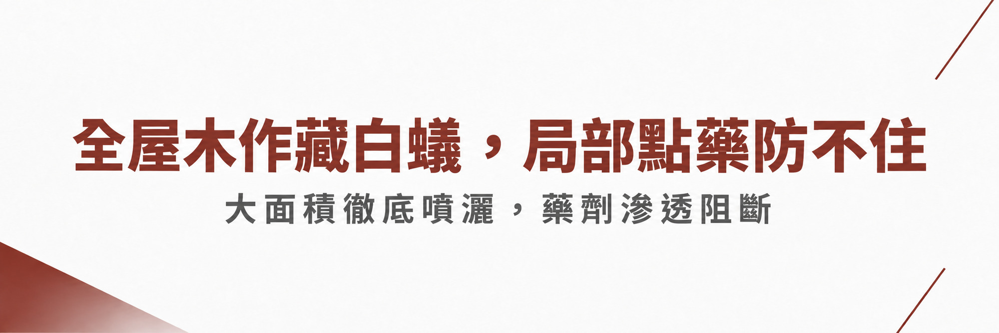 福來朗螞蟻對策專區