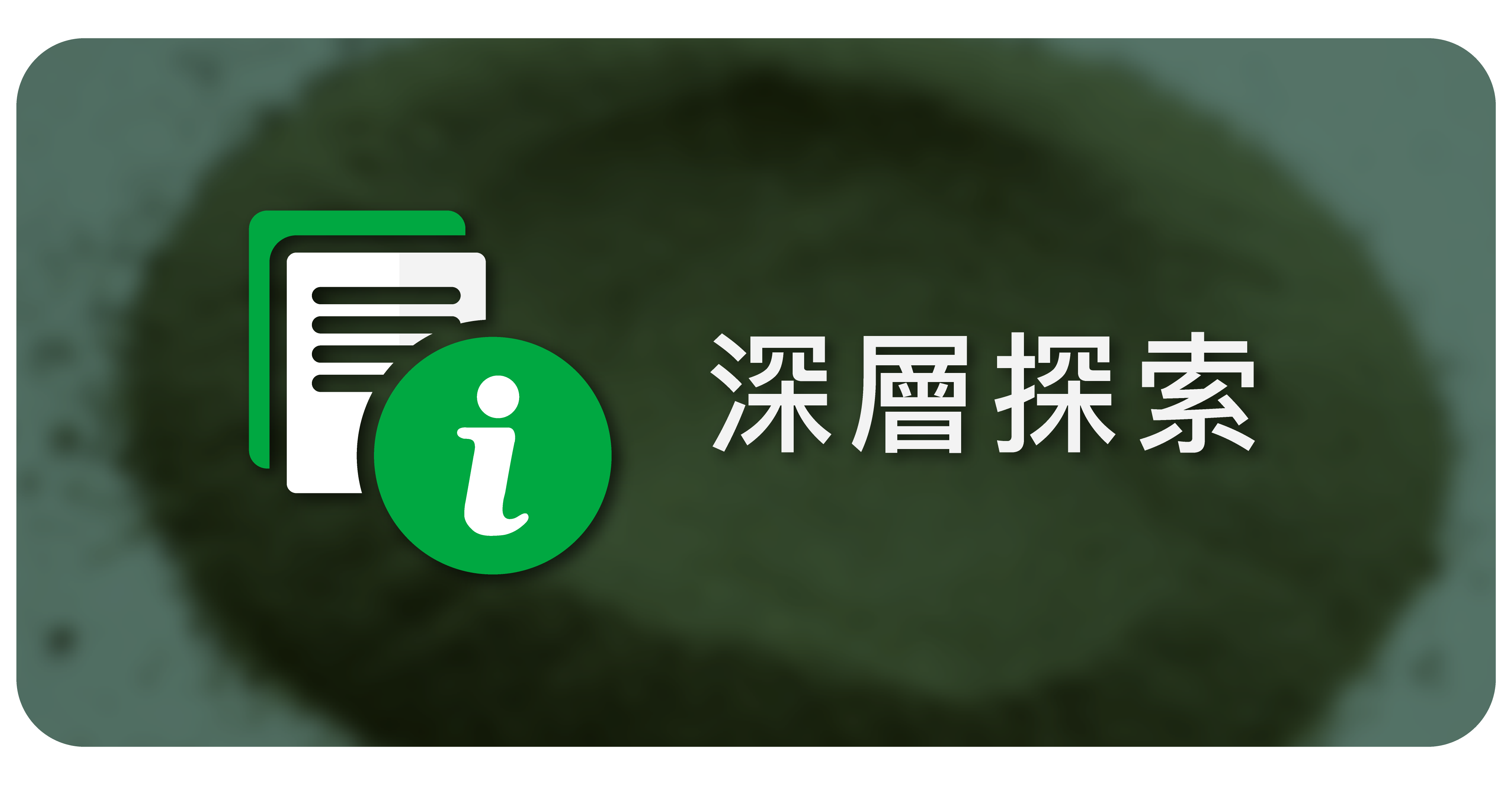 GREENERGIZE 深層探索