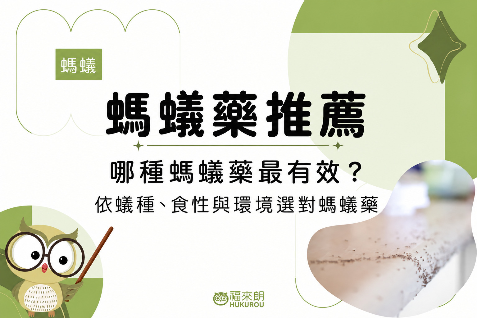 螞蟻藥推薦，依蟻種食性與環境選對螞蟻藥