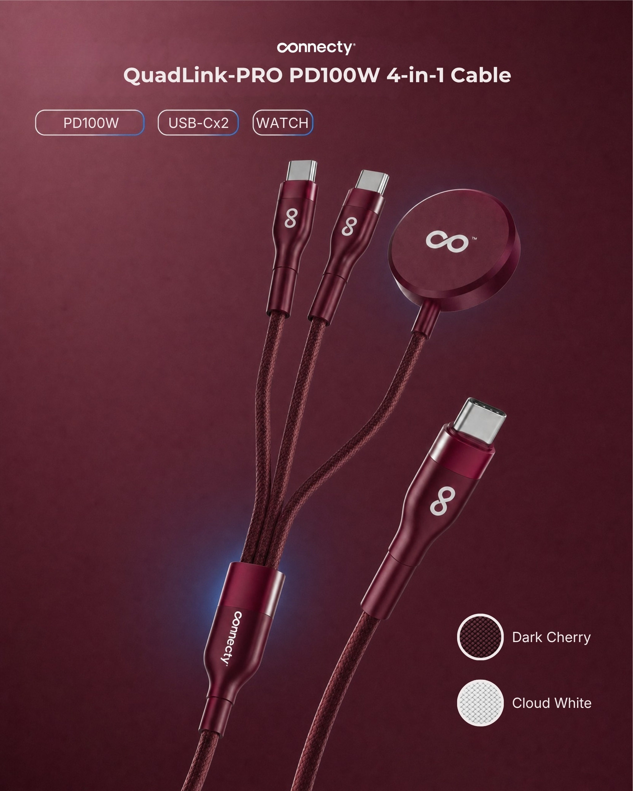 Connecty QuadLink-PRO PD100W 4-in-1 Cable 1.2m CC241