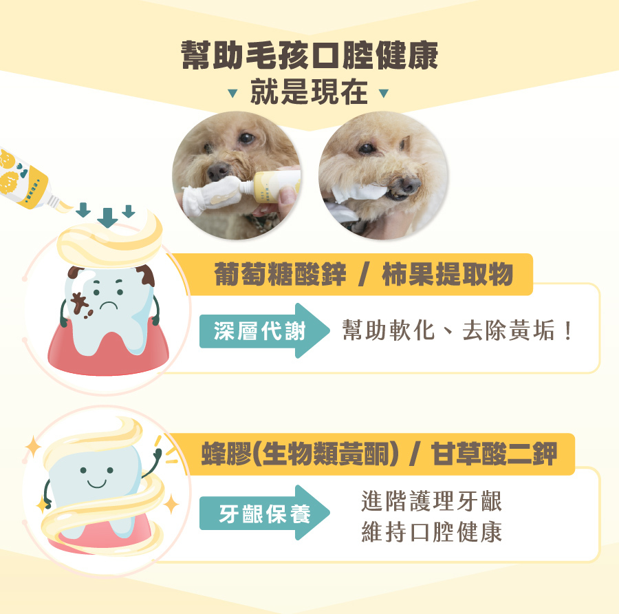 歸毛家族護齒凝膠：葡萄糖酸鋅深層去黃垢，蜂膠精華牙齦保養。植萃配方雙重護理，讓狗貓口腔維持健康好口氣。