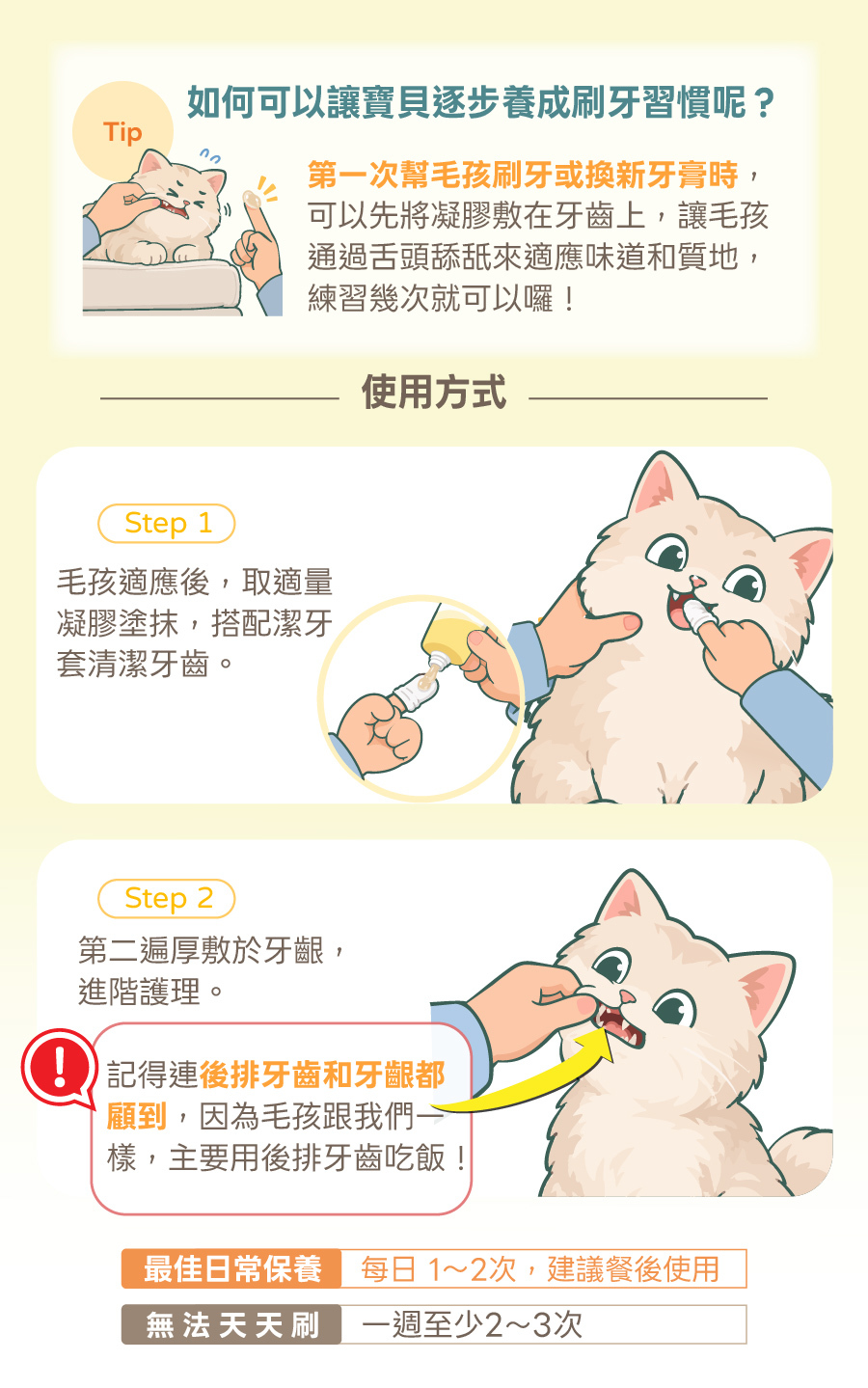 歸毛家族護齒凝膠使用步驟圖解，包含舔舐適應、搭配潔牙套清潔與厚敷後排牙齦，輕鬆帶領毛孩養成刷牙習慣。