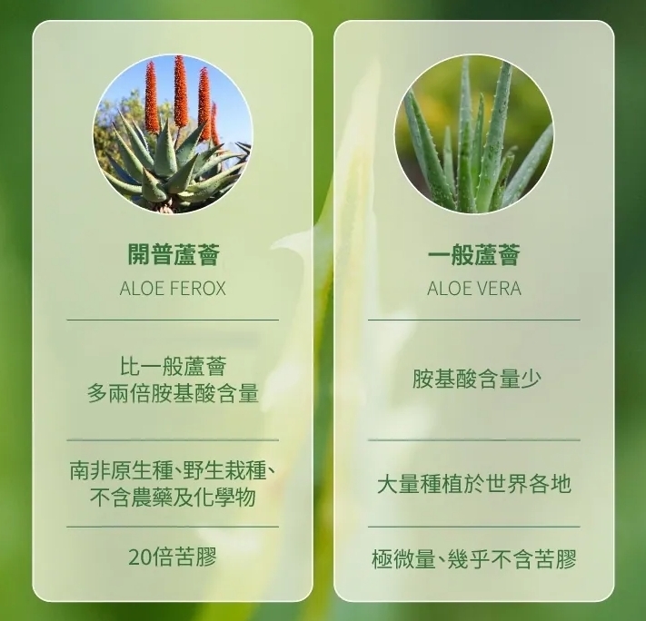 ALOE UNIQUE 優尼客｜南非開普蘆薈系列