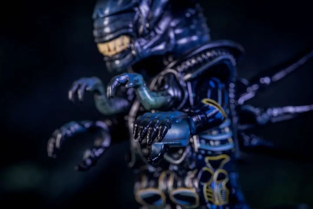 【Preorder】【Liberty】Alien Queen