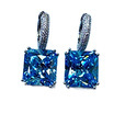 Drop Earrings CT-BS-E0023B1 -M