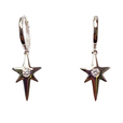 Earrings CT-BS-E0762W -M