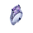 Ring CT-BS-R0297P -M