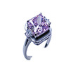 Ring CT-BS-R0349P -M