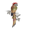 Brooch CT-CJ-O0002 -M