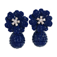 Earrings CT-E2655-WB -M