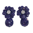 Earrings CT-E2657-WPU -M