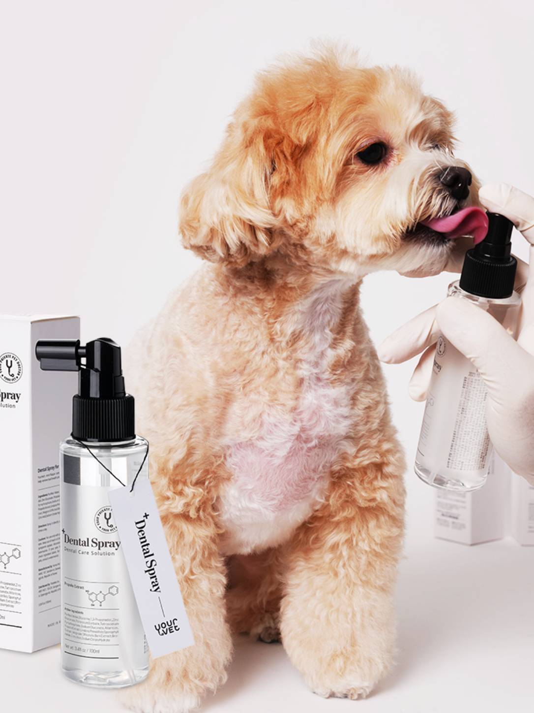 韓國 Yourvet 牙垢護理噴霧