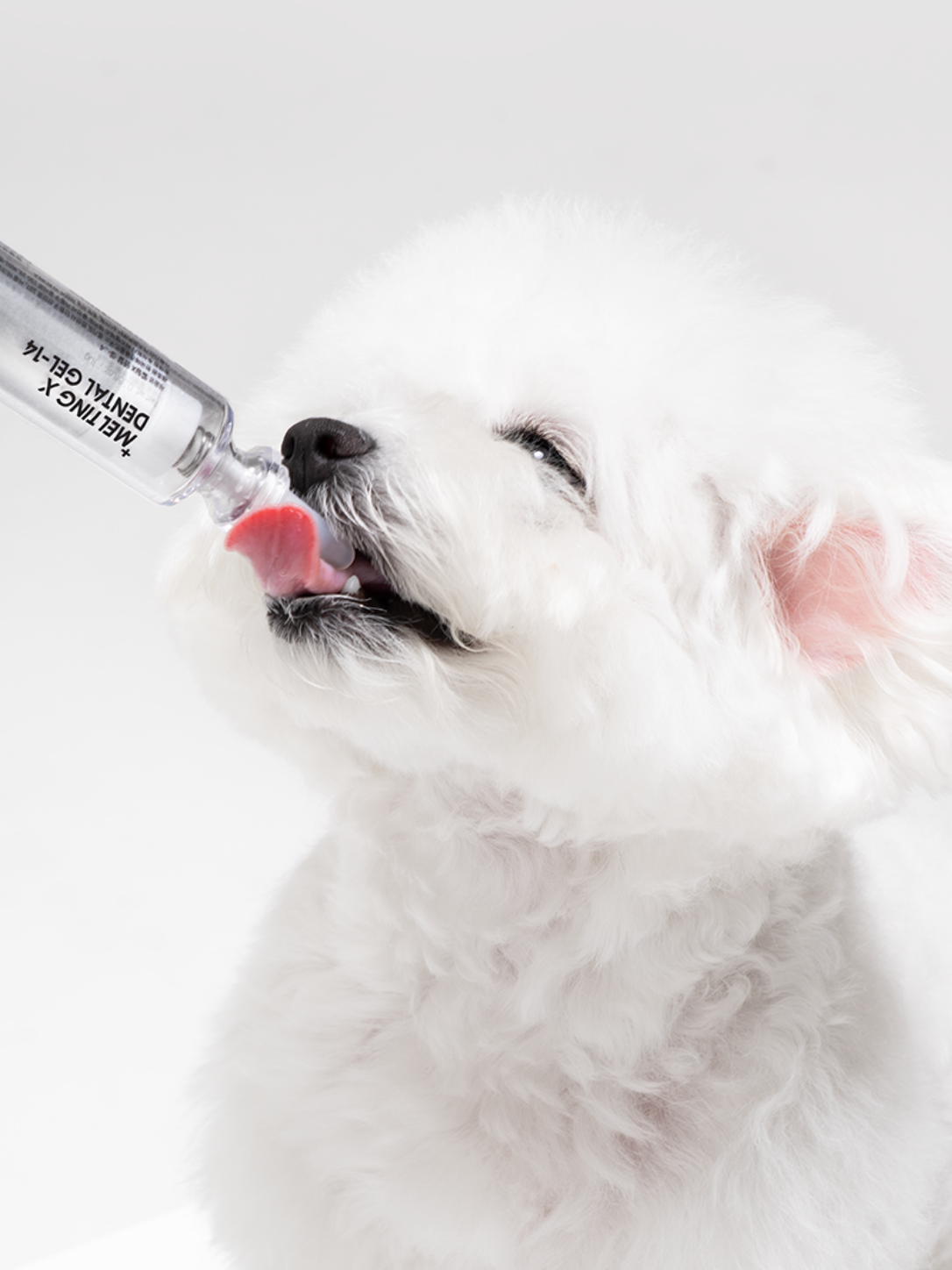 韓國 Yourvet 牙垢護理凝膠