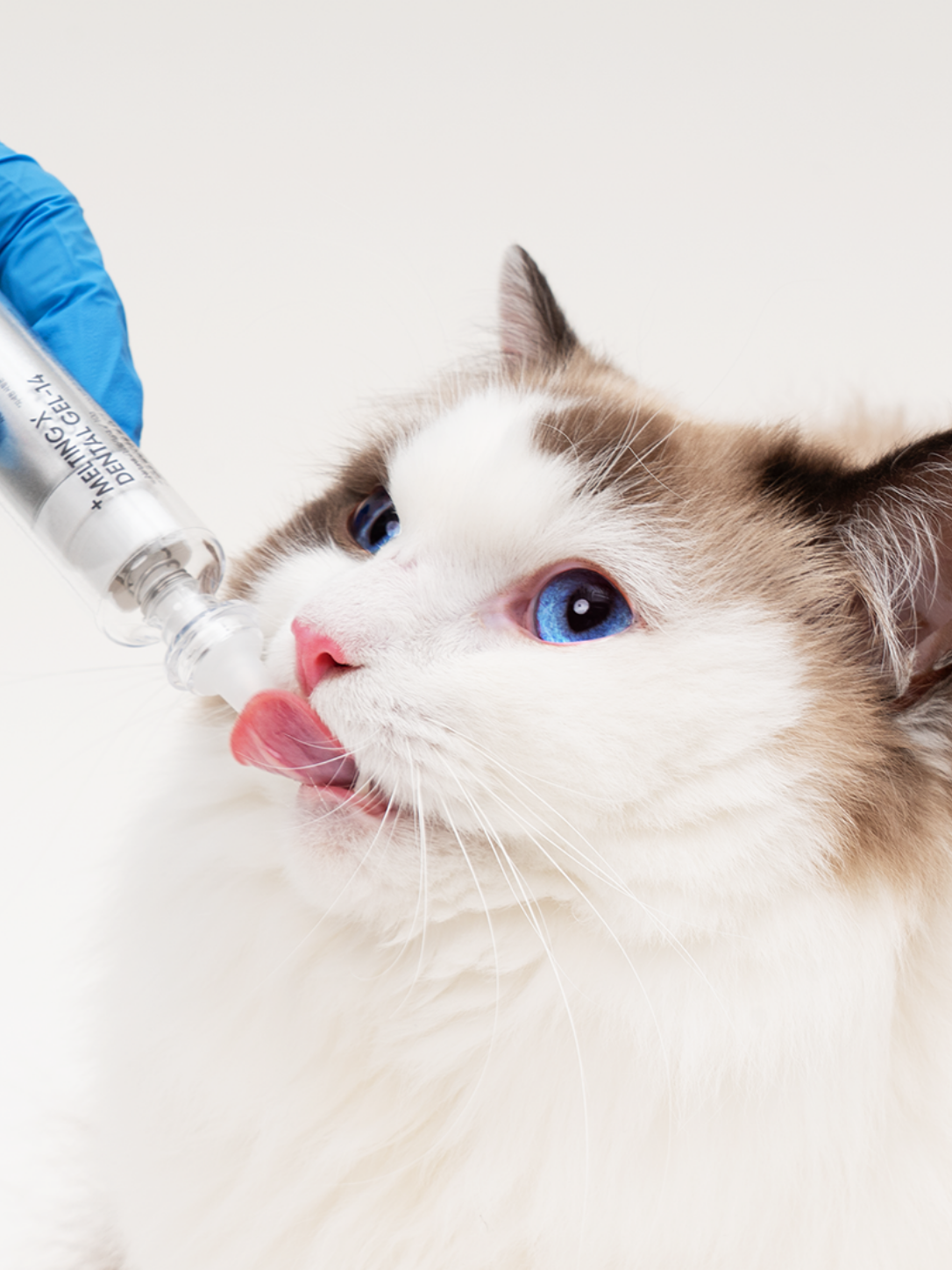 韓國 Yourvet 牙垢護理凝膠補充裝