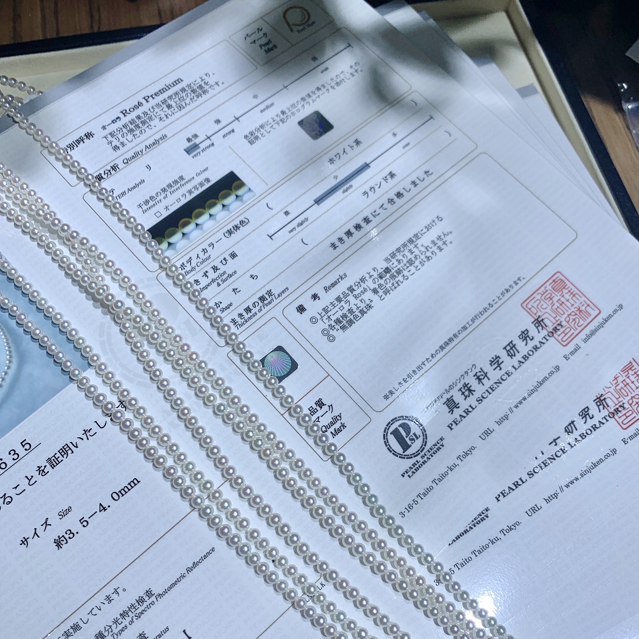 Rose Premium Japanese Akoya Pearl Bracelet (3.5-4mm)