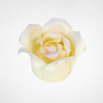 Ivory Chocolate Rose Cake PTW016L