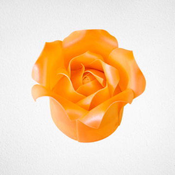 Orange Golden Rose Cake PTW012L