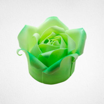 Apple Green Rose Cake PTW013L