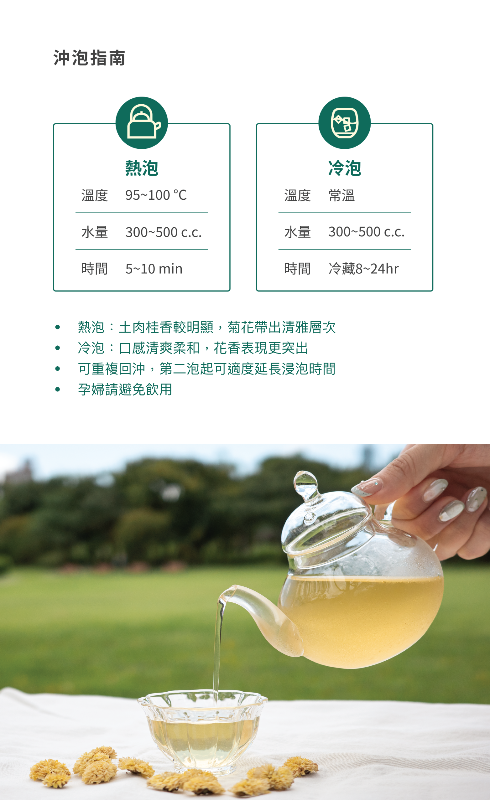沖泡指南