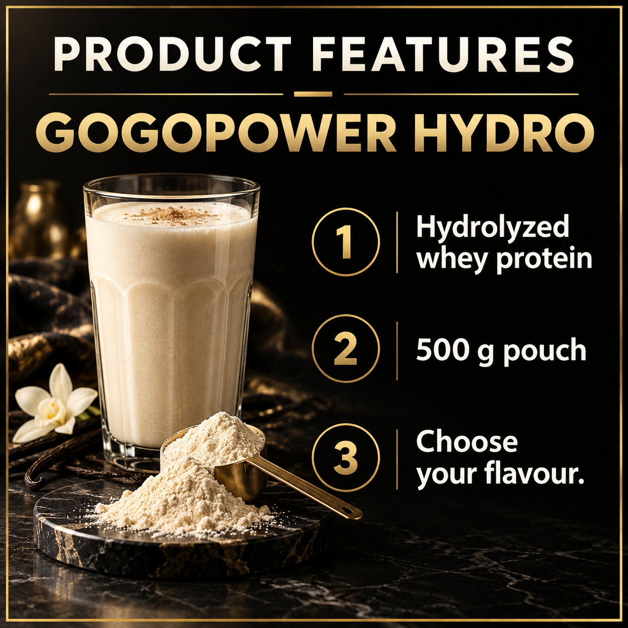 GogoPower Hydrolyzed Whey Protein 500 g Features EN