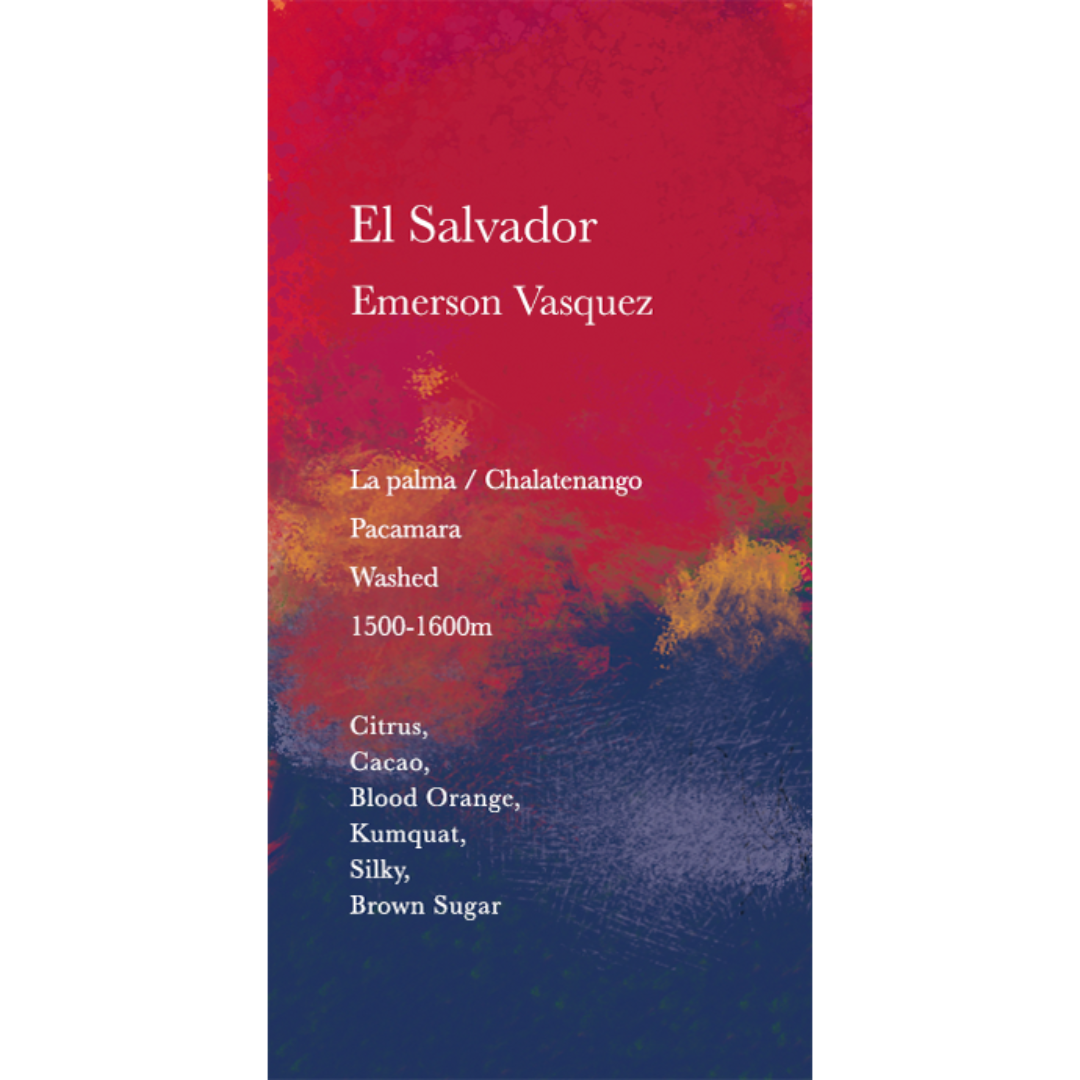 薩爾瓦多 Emersson Vasquez
