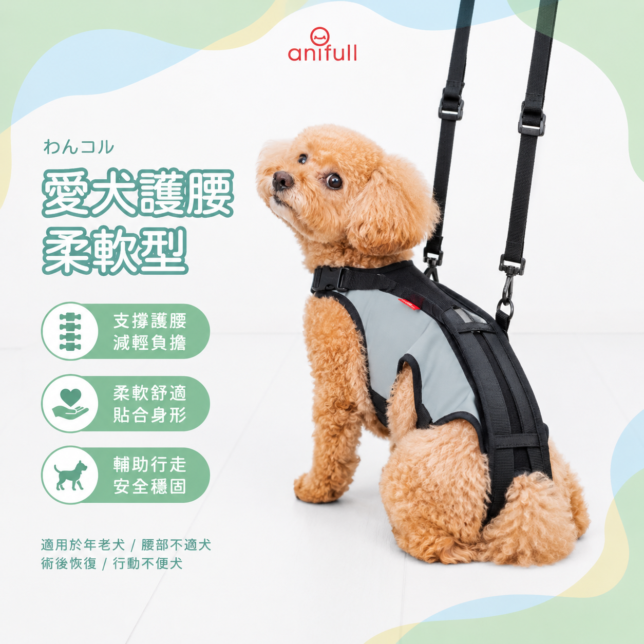 anifull 愛犬護腰-柔軟型-雙色款