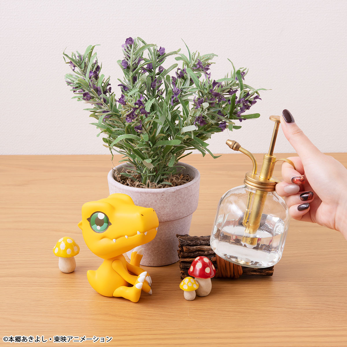 [LOOKUP]《數碼暴龍》亞古獸