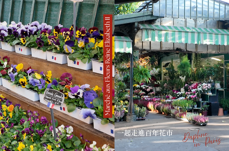01伊麗莎白二世花市｜Marché aux Fleurs Reine Elizabeth II｜巴黎景點｜巴黎自由行