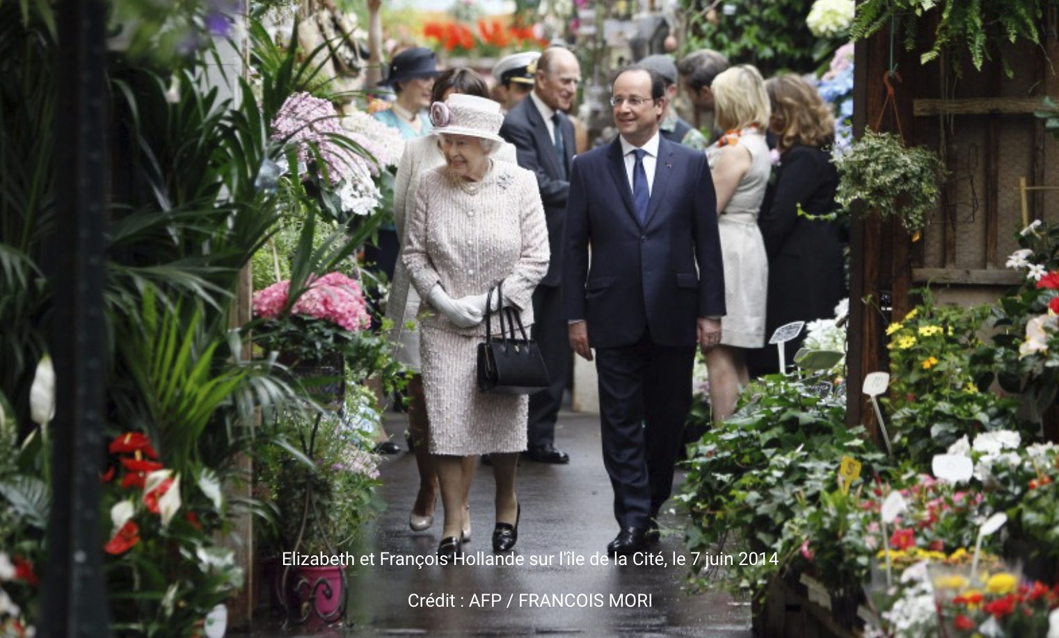 04伊麗莎白二世花市|Marché aux Fleurs Reine Elizabeth II|巴黎景點|巴黎自由行