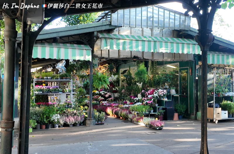 08伊麗莎白二世花市|Marché aux Fleurs Reine Elizabeth II|巴黎景點|巴黎自由行