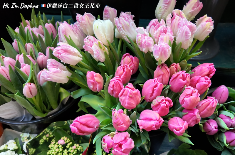 10伊麗莎白二世花市|Marché aux Fleurs Reine Elizabeth II|巴黎景點|巴黎自由行