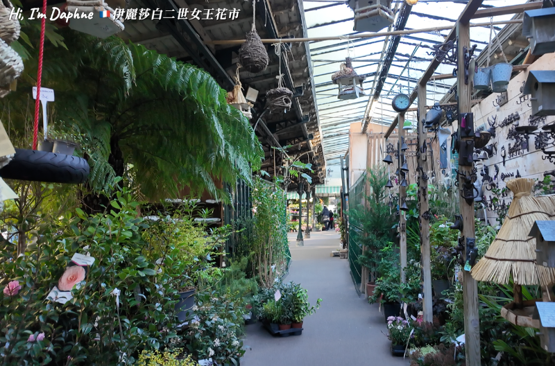 11伊麗莎白二世花市|Marché aux Fleurs Reine Elizabeth II|巴黎景點|巴黎自由行