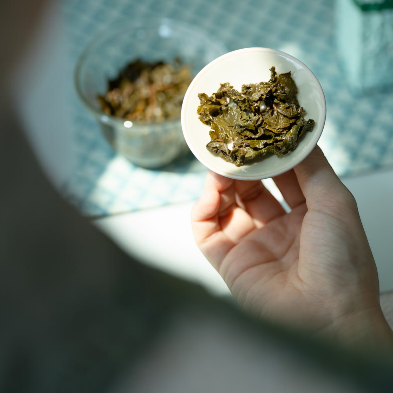 凍頂烏龍茶｜台灣高山茶－天下第一好茶